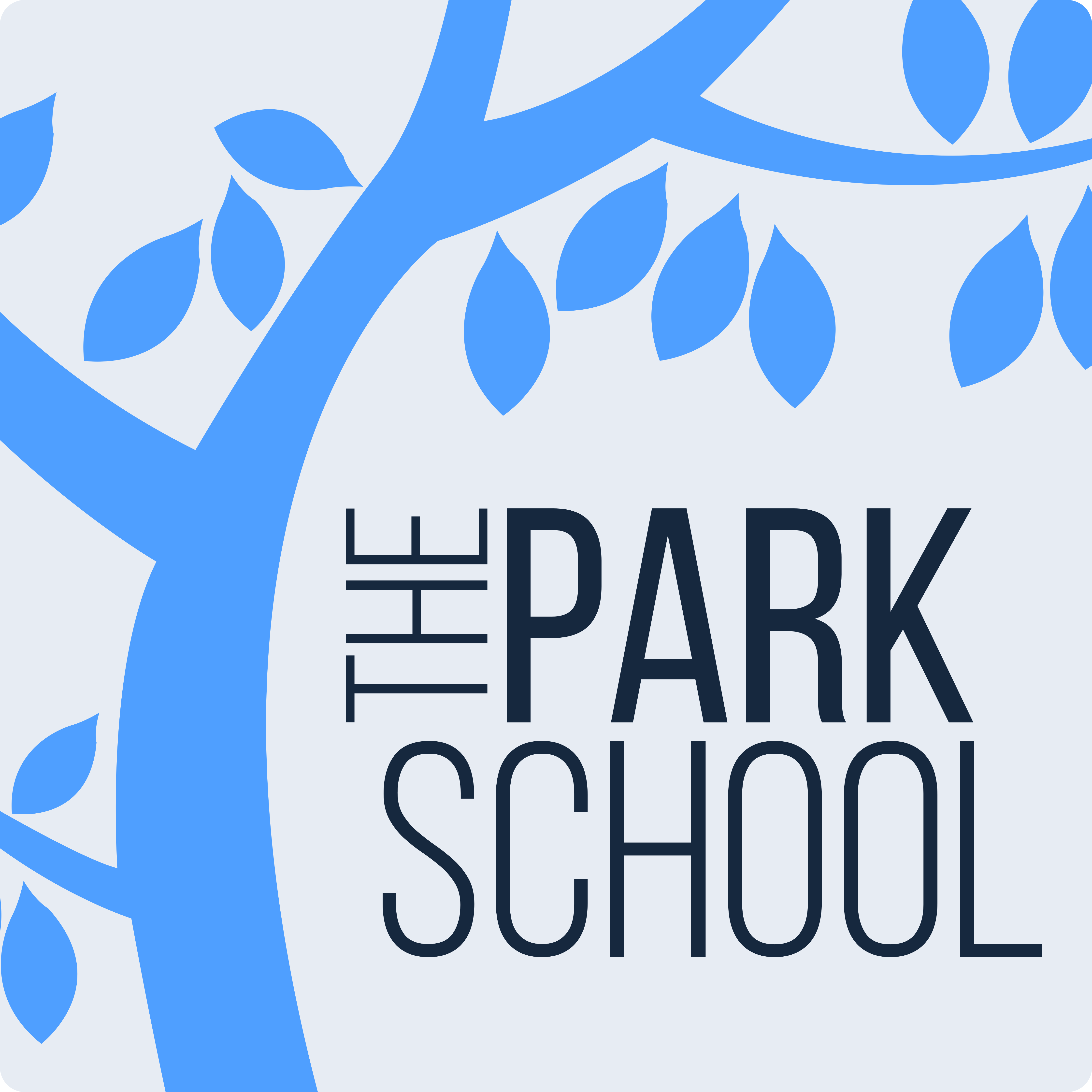The Park School